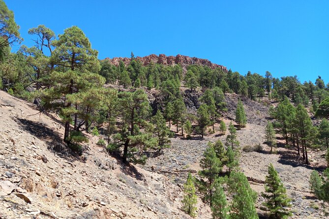 Hiking in Tenerife's Great Outdoors - Photo stops that do not feel rushed