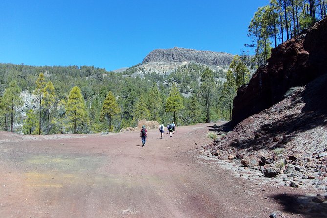 Hiking in Tenerife's Great Outdoors - Who should book this Tenerife hike