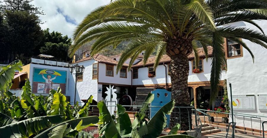 Icod de los Vinos: Casa del Plátano Entry Ticket - Key points to know before you go