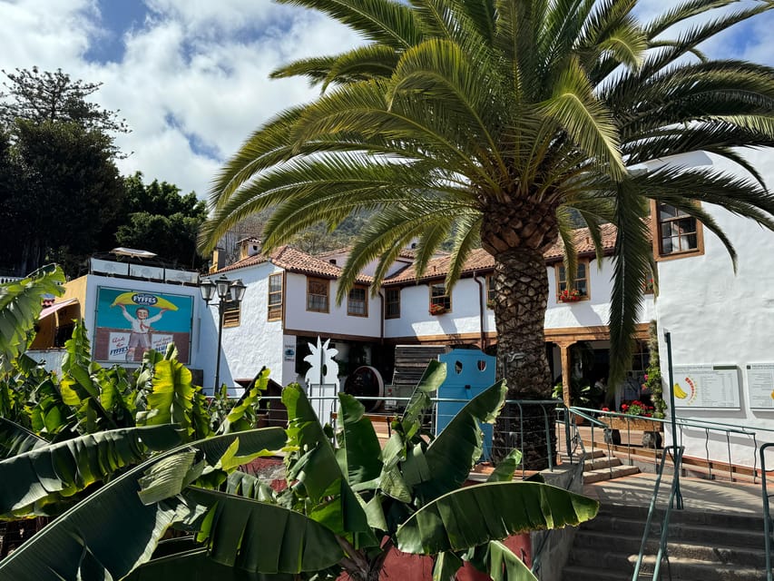 Icod de los Vinos: Casa del Plátano Entry Ticket - Trying the included Canarian banana