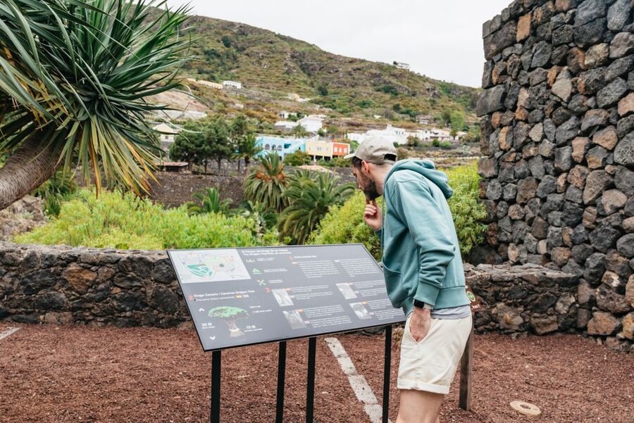 Icod de los Vinos: Dragon Tree & Botanical Garden Ticket - Is the $5 ticket good value?