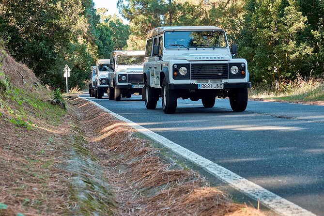 Jeep Safari at Half Day Teide - Guide commentary and personal attention