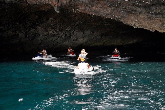 Jet Ski Safari South Tenerife - Dolphins, Turtles, and the Wildlife Question