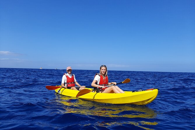 Kayak Safari with Dolphin and Turtle Watching in Guaza - Starting in Los Cristianos