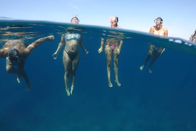 Kayak Safari with Dolphin and Turtle Watching in Guaza - Looking for Turtles Near the Rocks