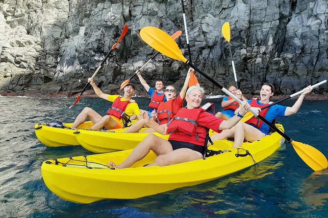 Kayak with Dolphin & Turtle Watching Private Tour - Key points to know before you book