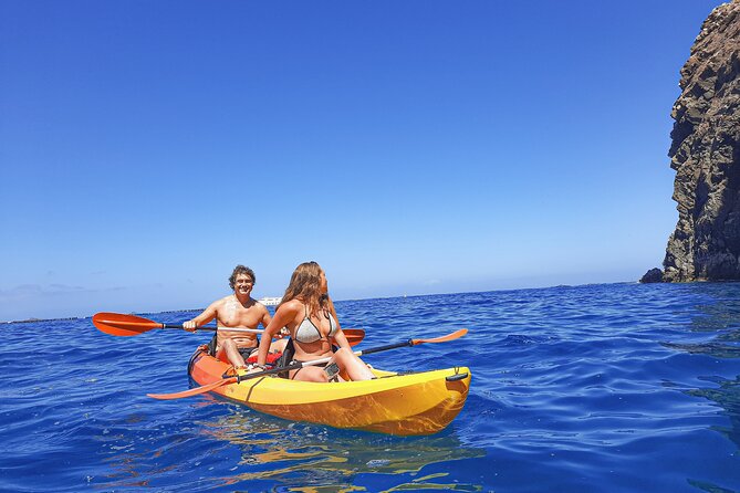 Kayak with Dolphin & Turtle Watching Private Tour - Paddling the Teno-Rasca marine strip