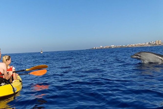 Kayak with Dolphin & Turtle Watching Private Tour - Approaching Palmar Cave beneath the Guaza cliffs
