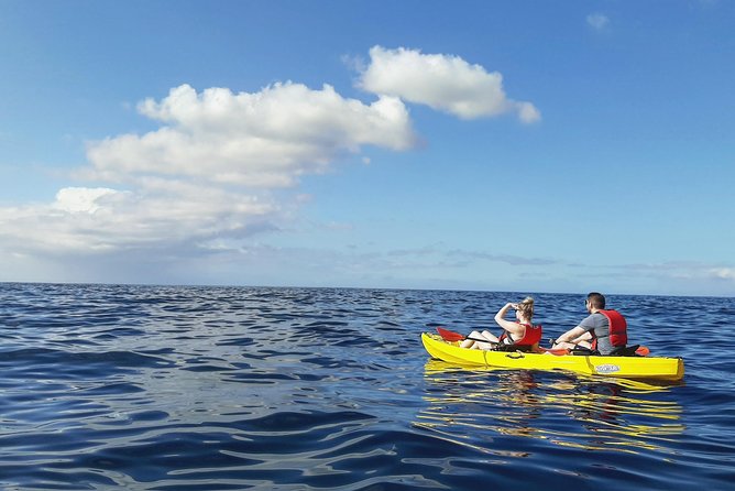 Kayak with Dolphin & Turtle Watching Private Tour - Snorkeling near the cave
