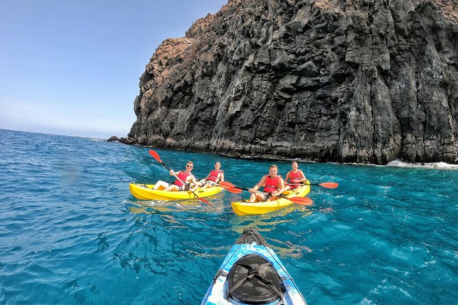 Kayak with Dolphin & Turtle Watching Private Tour - Price and what the $110.91 covers