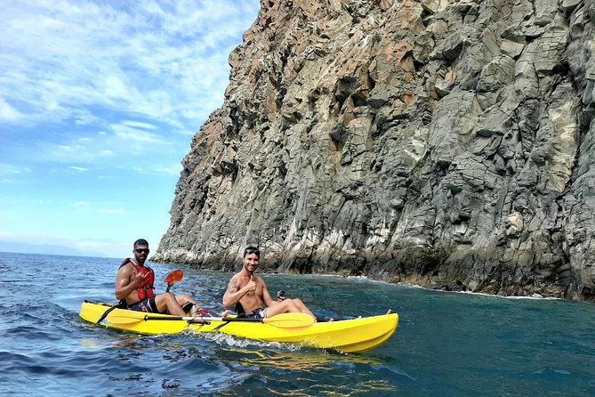 Kayak with Dolphin & Turtle Watching Private Tour - Kayak comfort and the physical effort