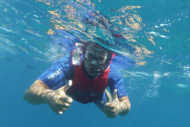 Kayaking + snorkeling with turtles - Guides, language, and safety