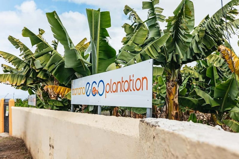 La Orotava: Eco Banana Plantation Tour with Banana Liquor - How the 95% self-sufficient system works