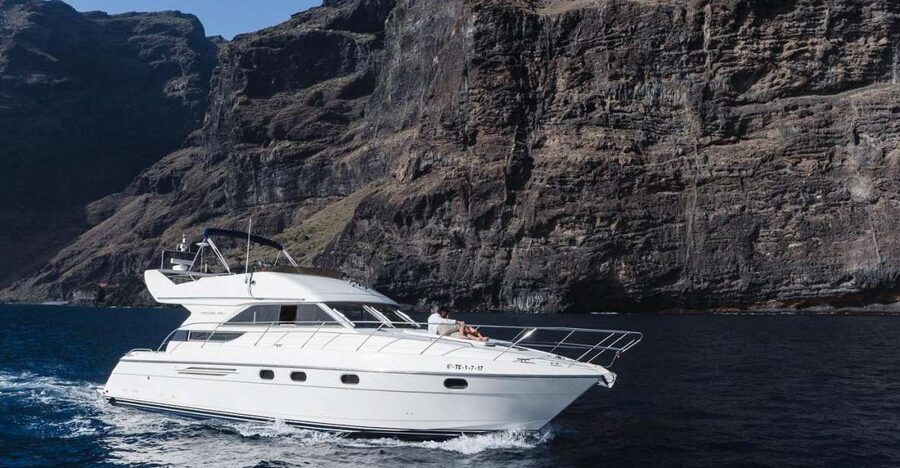Las Galletas: Private Luxury Yacht Cruise with Lunch - Watching whales and dolphins off Tenerife
