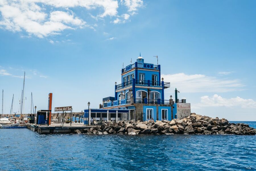 Las Galletas: Whale & Dolphin Tour with Local Skipper - Is the Las Galletas whale tour worth $69?