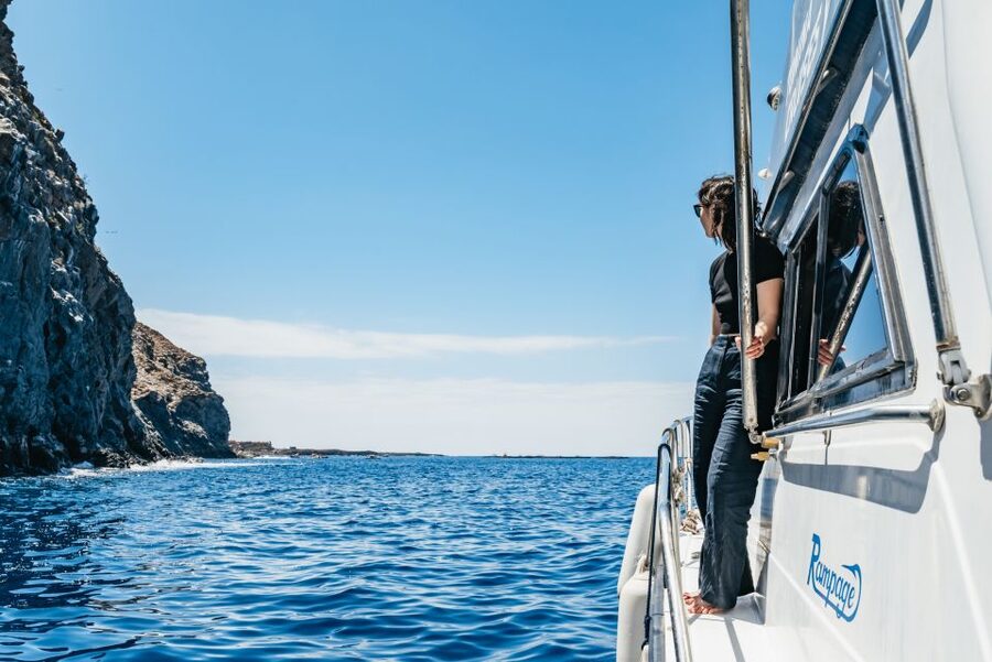 Las Galletas: Whale & Dolphin Tour with Local Skipper - Anchoring for a swim and snorkel