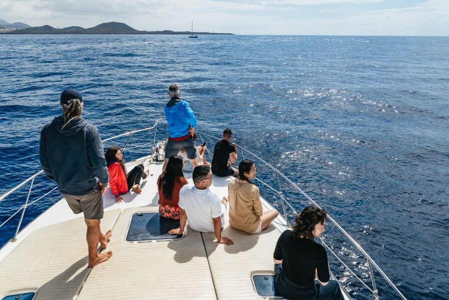 Las Galletas: Whale & Dolphin Tour with Local Skipper - Returning beside Punta de Rasca