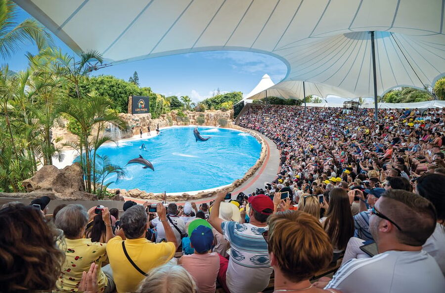 Loro Parque and Siam Park Combined Admission Tickets - Food, comfort, and practical planning