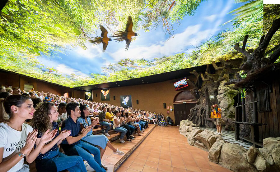 Loro Parque and Siam Park Combined Admission Tickets - Two Tenerife attractions, one flexible plan