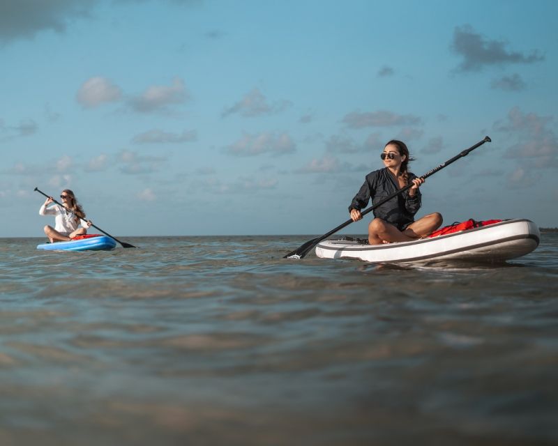 Los Cristianos : 1 Hour of Paddle surf Rental - The equipment deserves a careful check