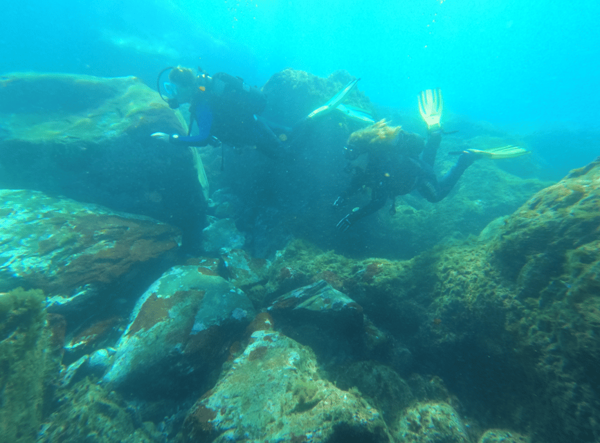 Los Cristianos: Basic Diver Course - Open water and the seabed at Los Cristianos