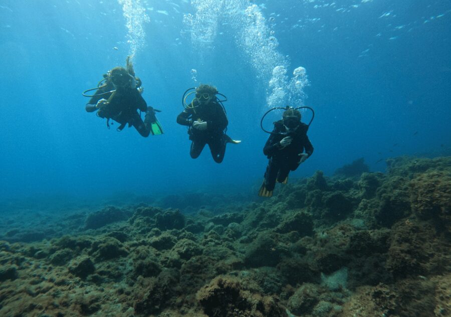 Los Cristianos: Basic Diver Course - Why the small group matters