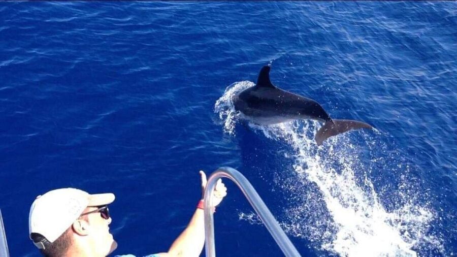 Los Cristianos: Eco Yacht Whale Watching Tour at Sunset - Who will enjoy this most