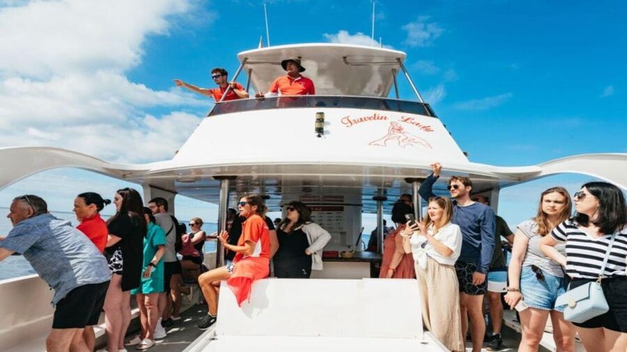 Los Cristianos: Eco Yacht Whale Watching Tour at Sunset - The first 30 minutes: leaving the harbor by eco-yacht