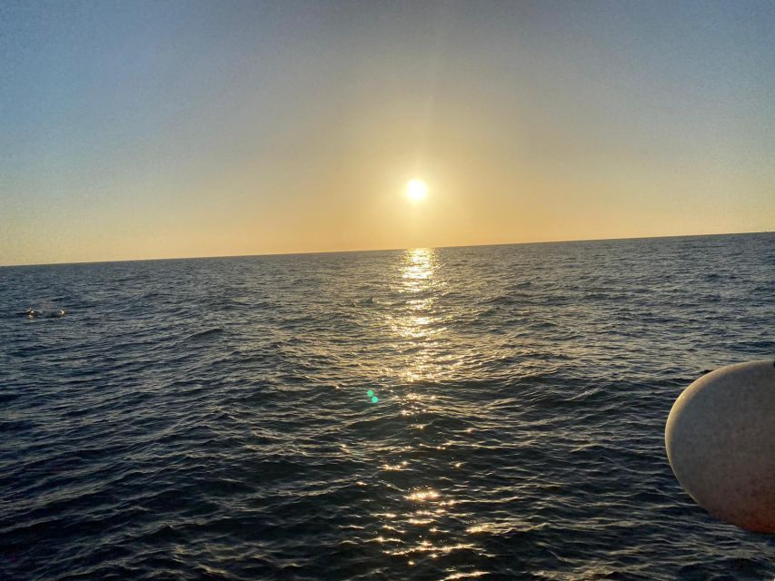 Los Cristianos: Eco Yacht Whale Watching Tour at Sunset - The possible swim stop
