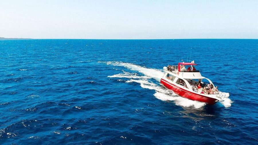 Los Cristianos: Eco Yacht Whale Watching Tour at Sunset - Meeting the Travelin Lady at Los Cristianos