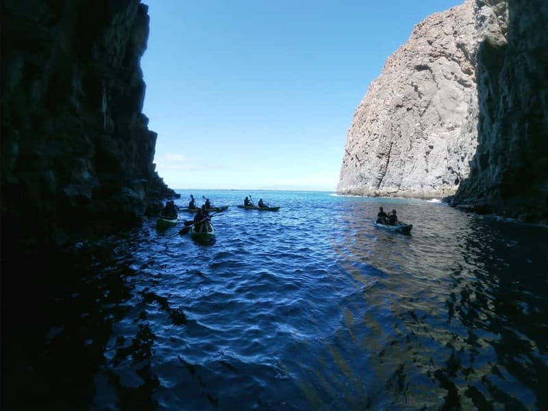 Los Cristianos: Kayak and Snorkel with Turtles and Photos - Key points to know before booking