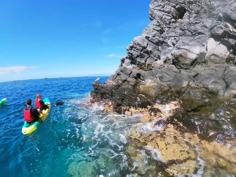Los Cristianos: Kayak and Snorkel with Turtles and Photos - Searching for dolphins on the return paddle
