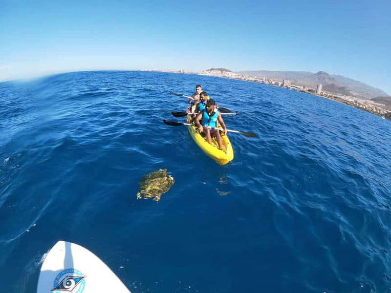 Los Cristianos: Kayak and Snorkel with Turtles and Photos - What guides add to the experience