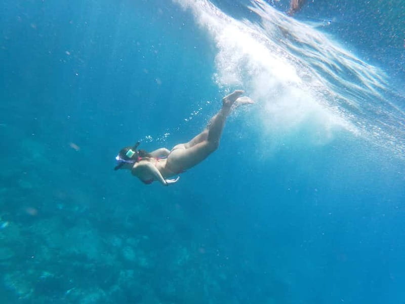 Los Cristianos: Kayak and Snorkel with Turtles and Photos - Who will enjoy this most