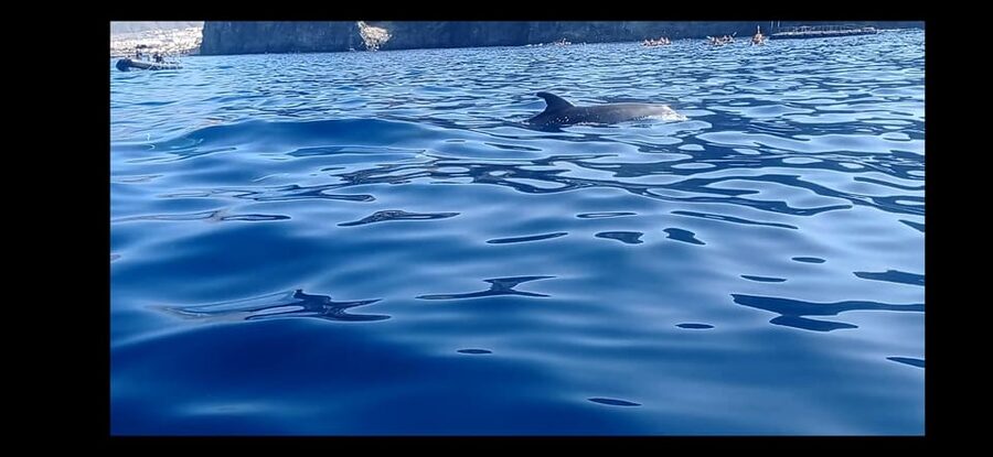 Los Cristianos: Kayak & Snorkel Tour with turtles and photos included - Paddling past Los Tarajales and El Callao
