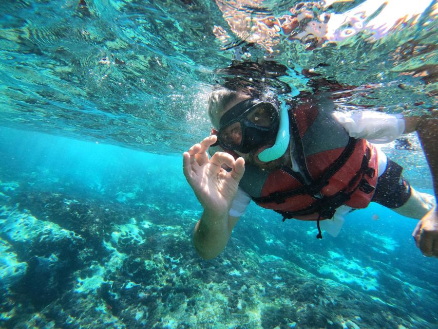 Los Cristianos: Kayaking and Snorkeling with Marine Wildlife - Simple ways to have a better morning