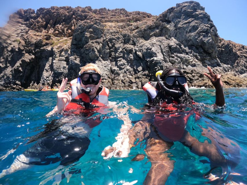 Los Cristianos: Kayaking and Snorkeling with Marine Wildlife - Should you book the Los Cristianos kayak tour?