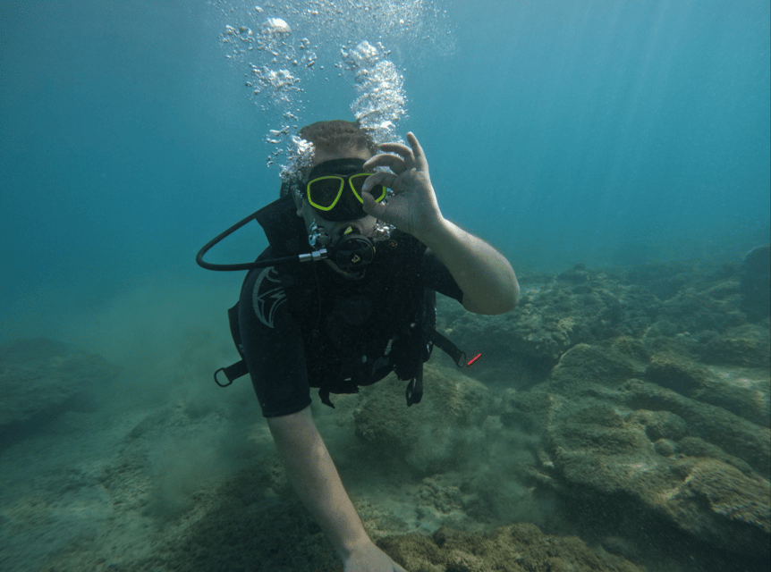 Los Cristianos: Try Dive for beginners - The marine life you might see
