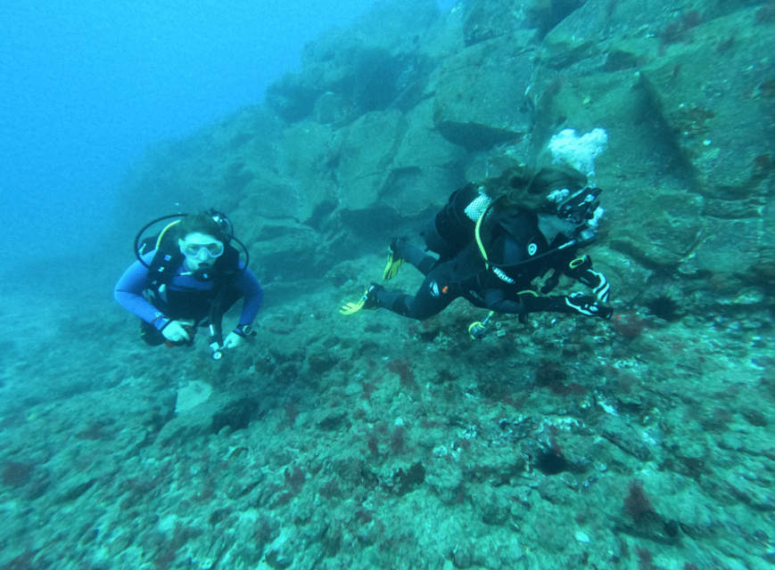 Los Cristianos: Try Dive for beginners - Who will get the most from this activity
