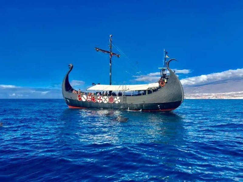 Los Cristianos: Viking Cruise Whales & Dolphins Watching - The two-hour search for whales and dolphins