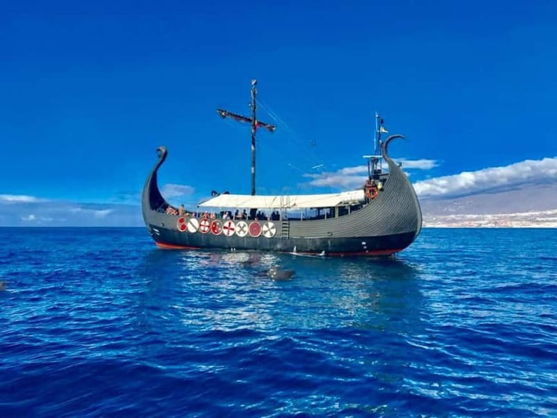 Los Cristianos: Whale Watching Cruise w/Swim Stop & Drinks - Cruising toward Tenerife’s whale and dolphin waters