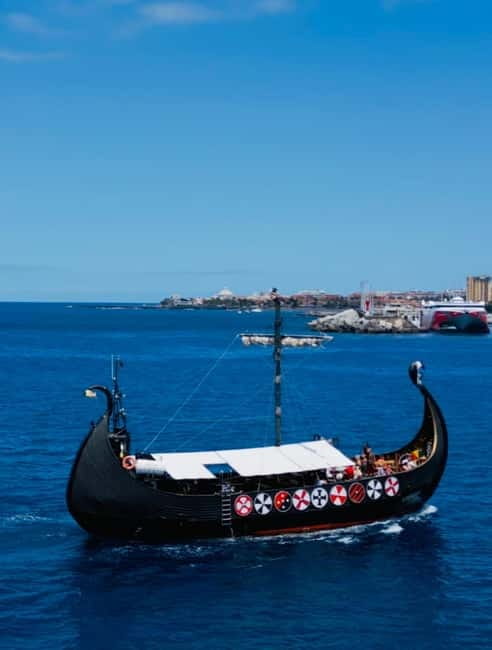 Los Cristianos: Whale Watching Cruise w/Swim Stop & Drinks - Who will enjoy this cruise most?