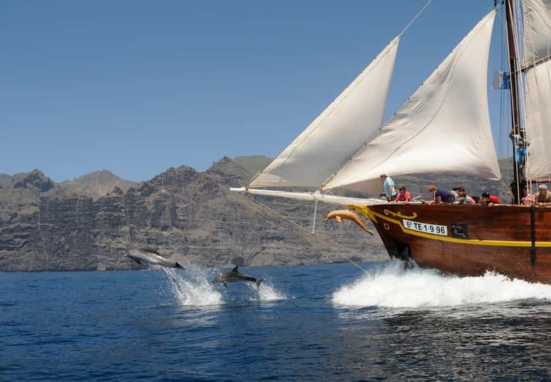 Los Gigantes: Dolphin and Whale Watching Tour with Drinks - Key points to know before you book
