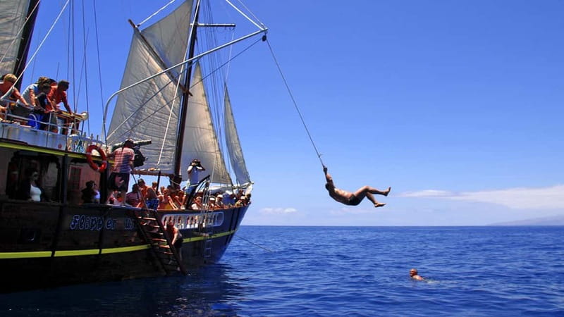 Los Gigantes: Dolphin and Whale Watching Tour with Drinks - Should you book the Flipper Uno cruise?