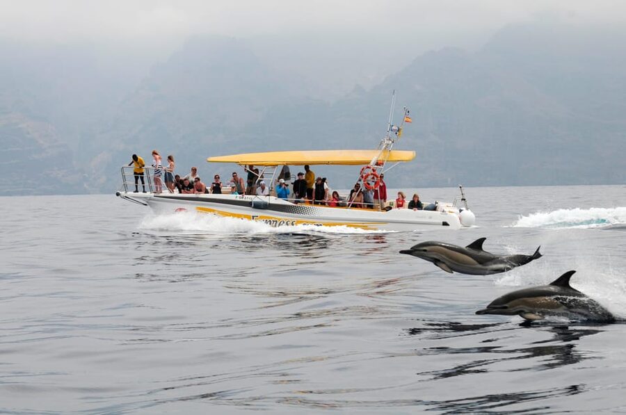Los Gigantes: Dolphin & Whale Watching Cruise with Swim Stop - The Los Gigantes cliffs from the water