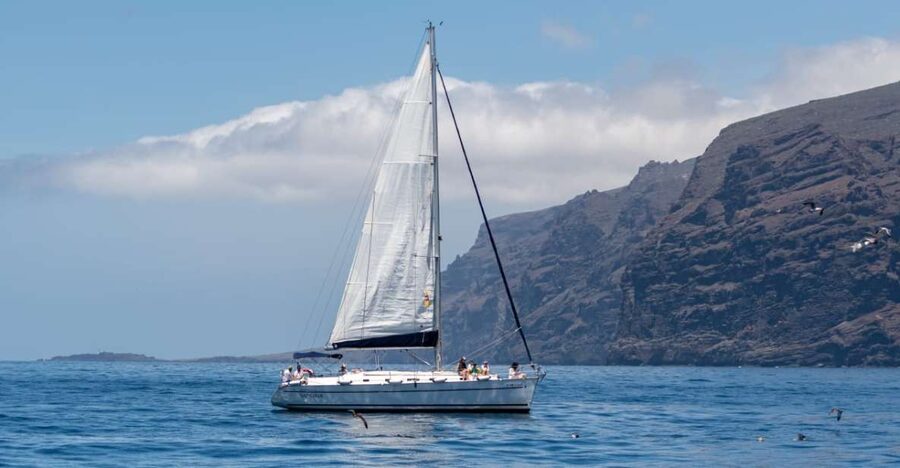 Los Gigantes: Sailing Excursion with Swimming, Drink & Tapas - Setting out from Puerto de Los Gigantes
