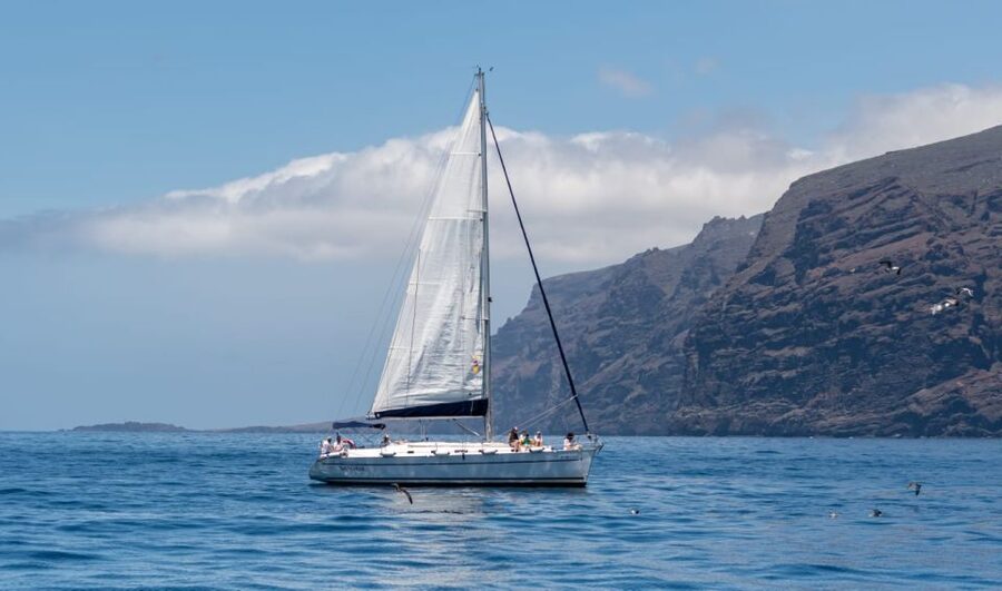 Los Gigantes: Sailing Excursion with Swimming, Drink & Tapas - Searching for pilot whales and dolphins