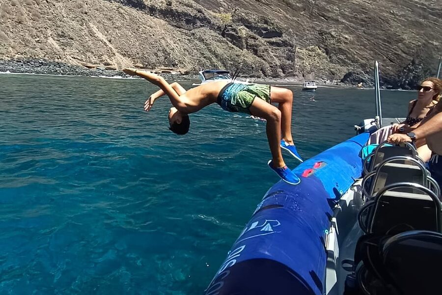 Los Gigantes to Teno: Boat trip with snorkeling & drinks - Key points at a glance