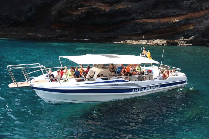 Los Gigantes: Whale or dolphin watching and swimming tour in Masca - Looking for pilot whales and dolphins
