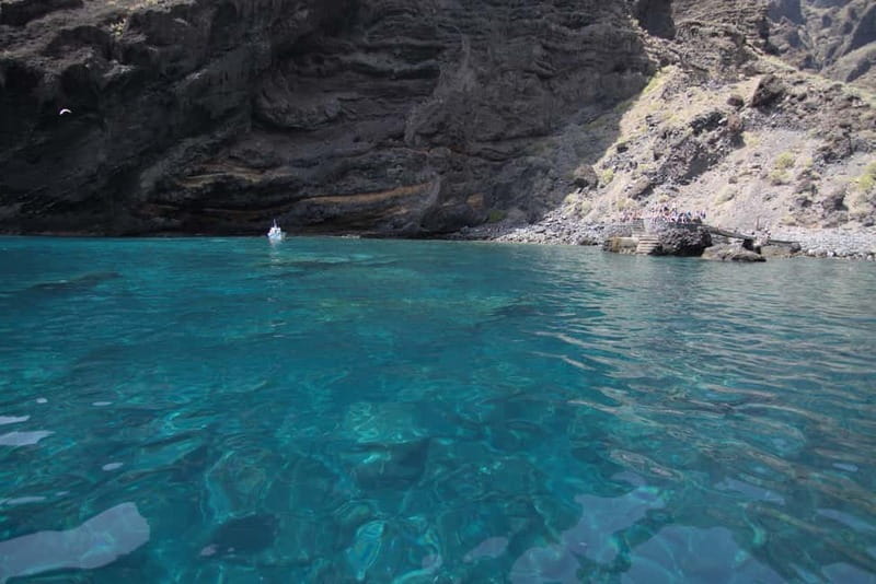 Los Gigantes: Whale or dolphin watching and swimming tour in Masca - Masca Bay and the swimming stop